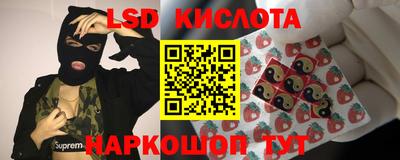 стаф Донецк