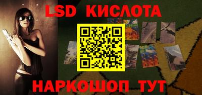 стаф Донецк