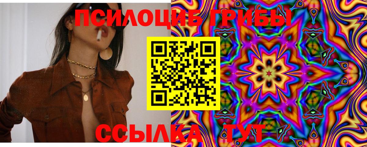 Галлюциногенные грибы GOLDEN TEACHER  Вход с VPN  Нефтекумск  Псилоцибиновые грибы Psilocybe 