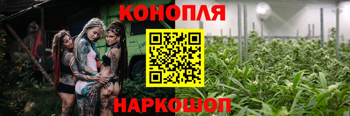 Каннабис тримм  Канабис VHQ  Бошки Шишки VHQ  Вход с VPN  Нефтекумск  Бошки Шишки SATIVA & INDICA 
